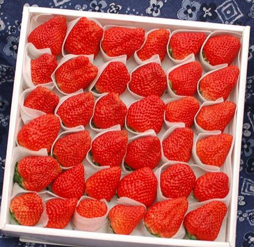 新鮮(xian)水果用EPE珍珠棉(mián)包裝的好處有(you)哪些？